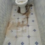 Toilet cleaning